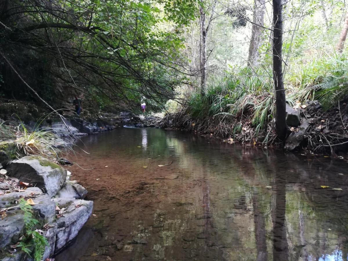Quinta Da Portelada Peso da Régua Buitenkant foto