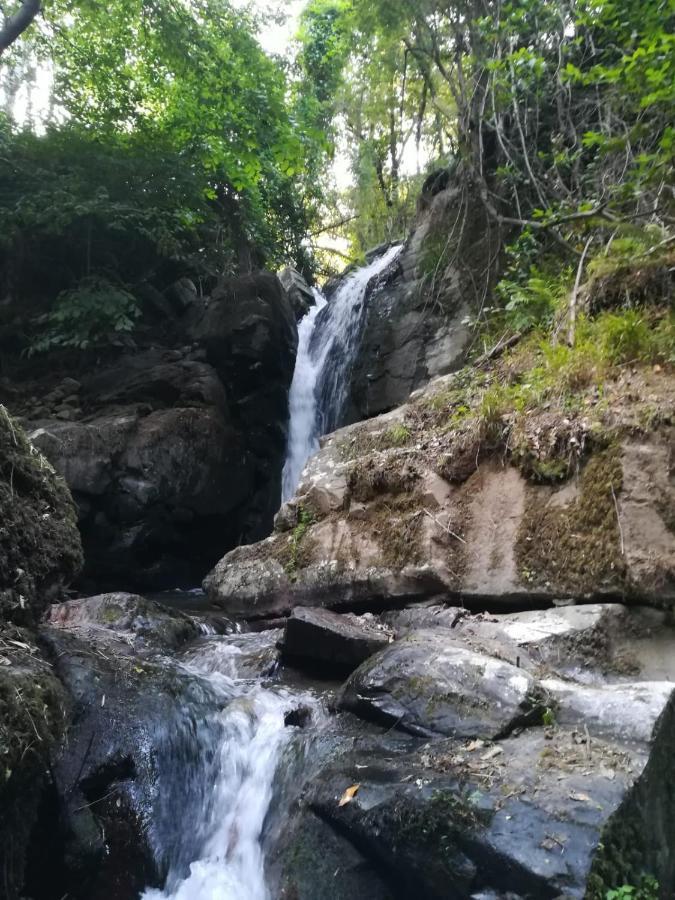Quinta Da Portelada Peso da Régua Buitenkant foto