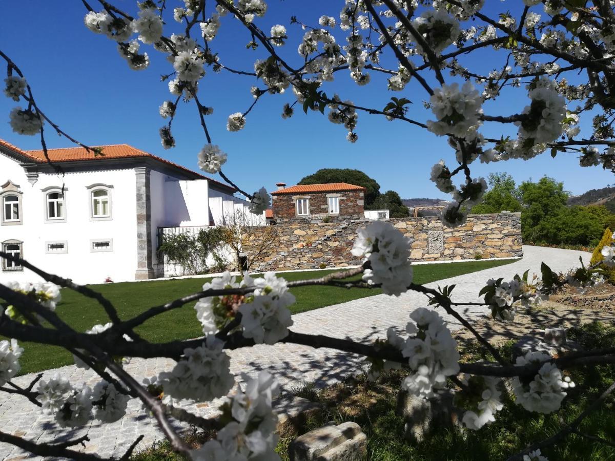 Quinta Da Portelada Peso da Régua Buitenkant foto