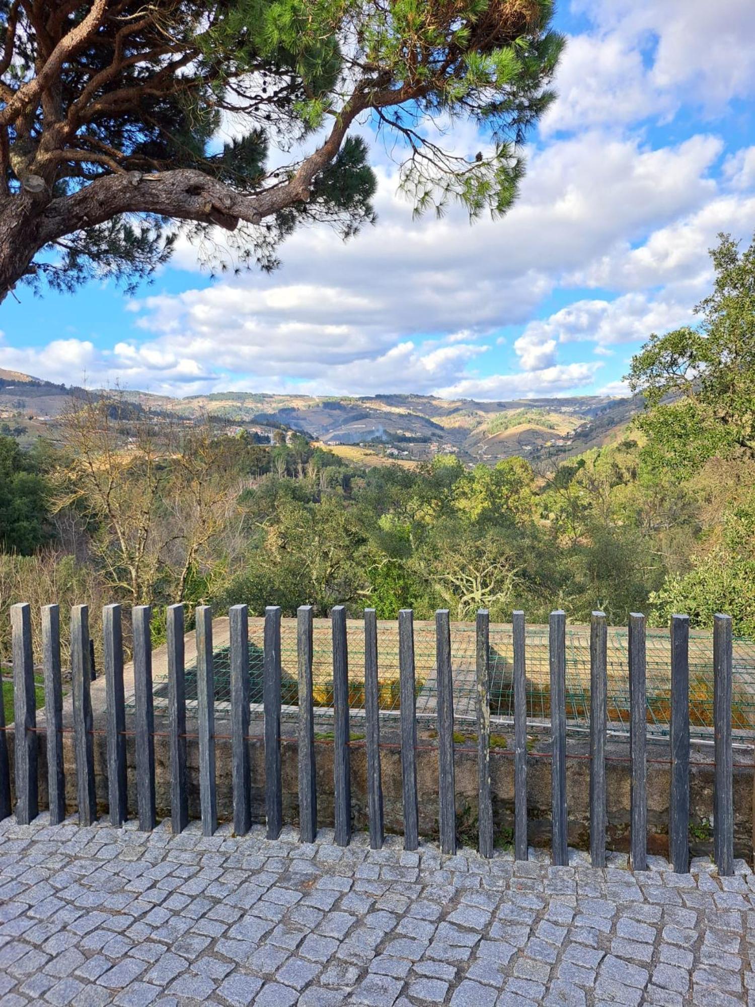 Quinta Da Portelada Peso da Régua Buitenkant foto
