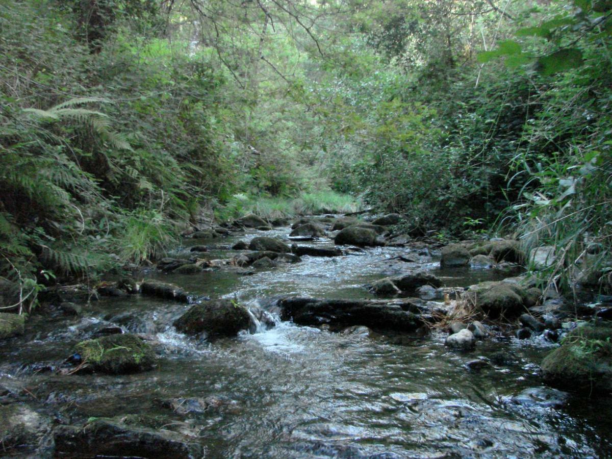 Quinta Da Portelada Peso da Régua Buitenkant foto