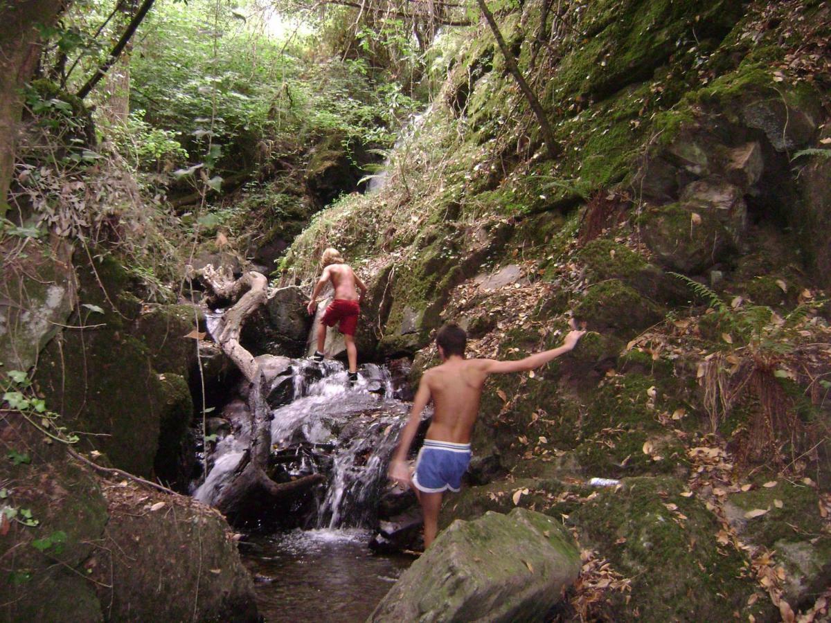 Quinta Da Portelada Peso da Régua Buitenkant foto